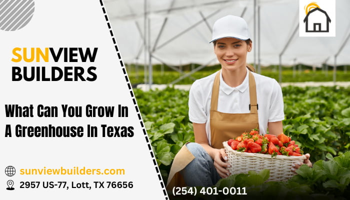What Can You Grow In A Greenhouse In Texas