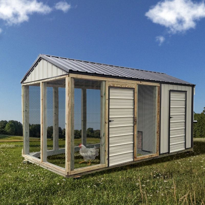 chicken-coop-shed