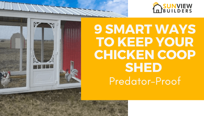 9 Smart Ways to Keep Your Chicken Coop Shed Predator-Proof
