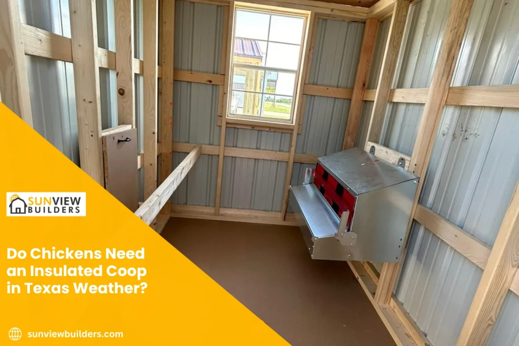 Do Chickens Need an Insulated Coop in Texas Weather?